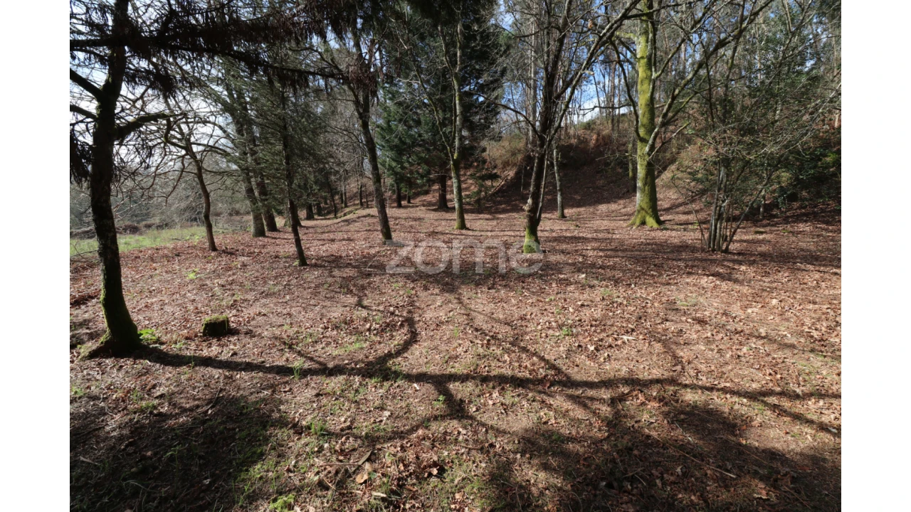 Terreno para Venda em Oliveira Foto 10