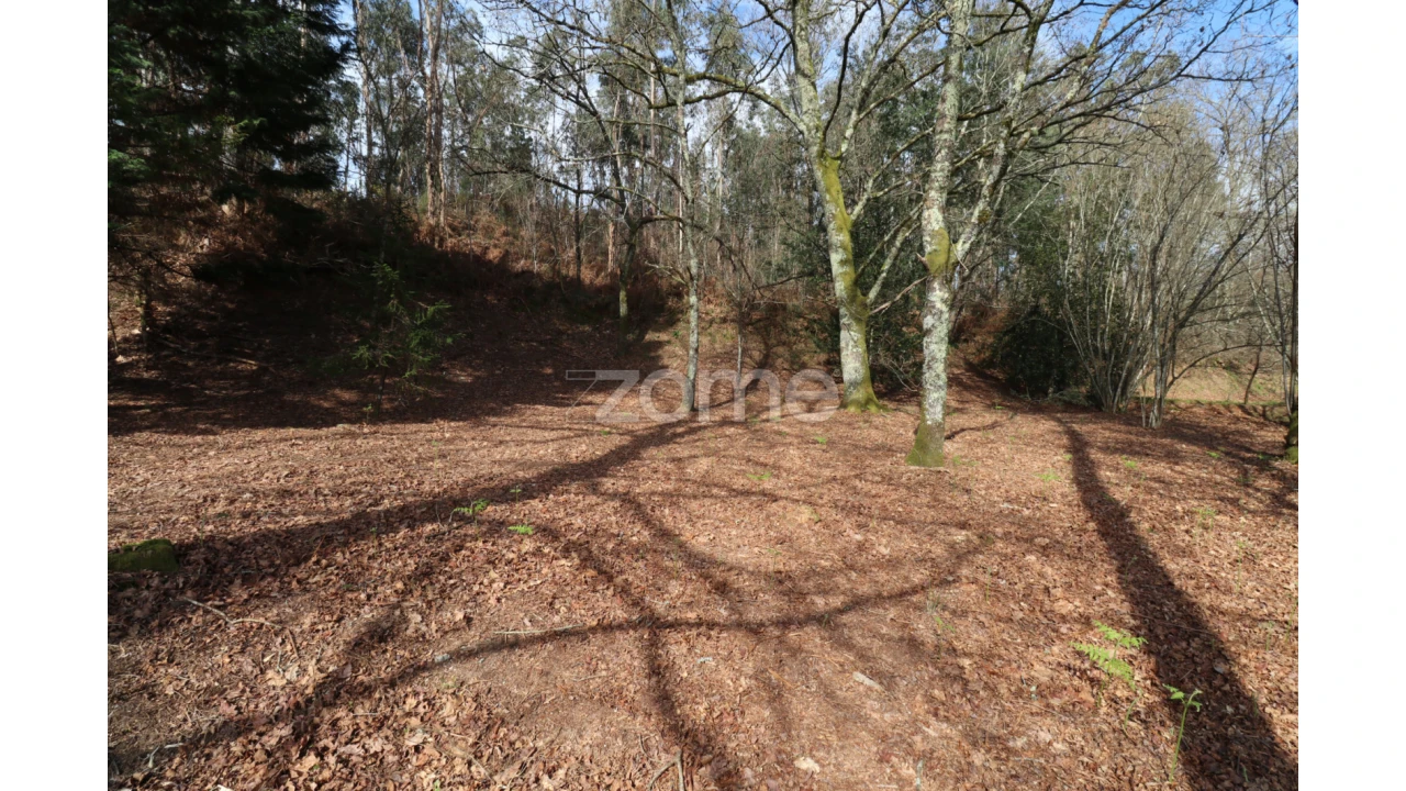 Terreno para Venda em Oliveira Foto 13