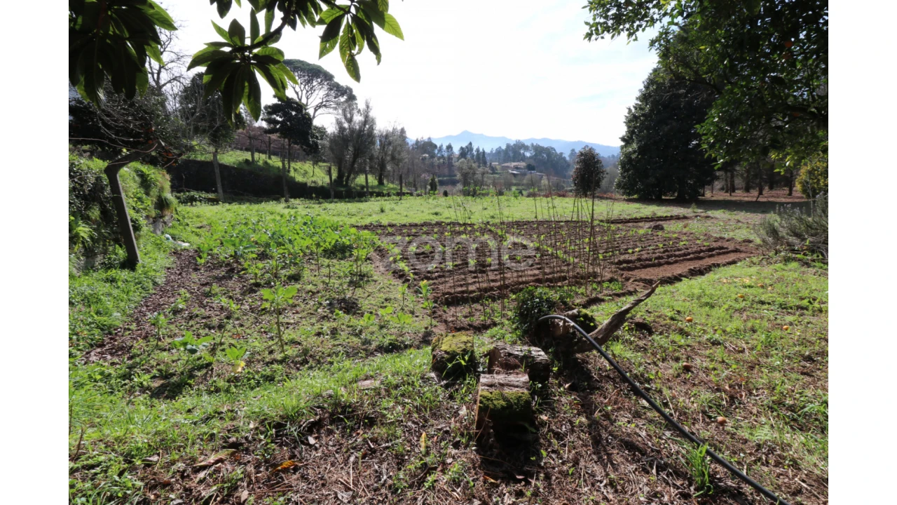 Terreno para Venda em Oliveira Foto 6