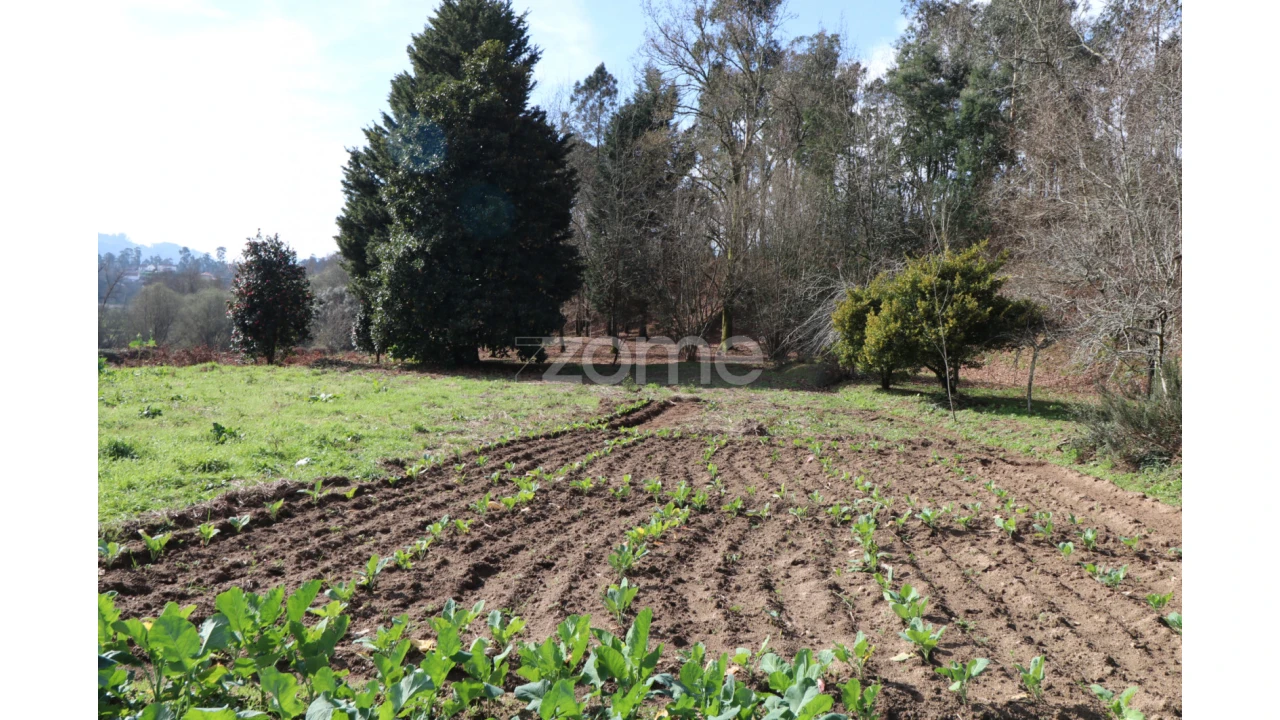 Terreno para Venda em Oliveira Foto 1