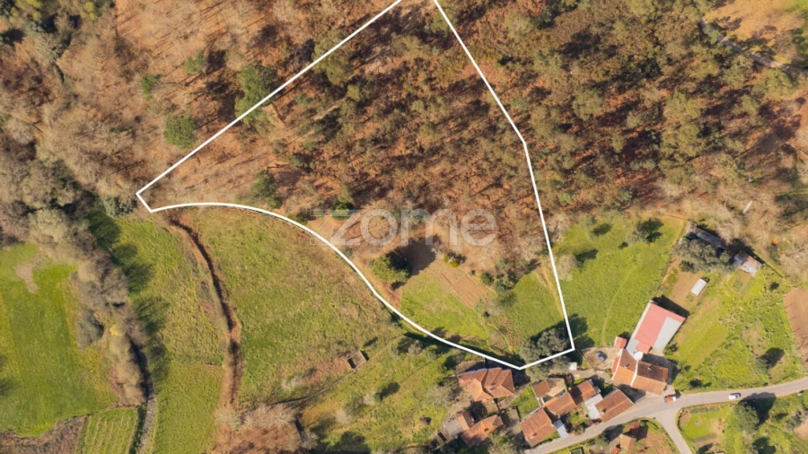 Terreno para Venda em Oliveira
