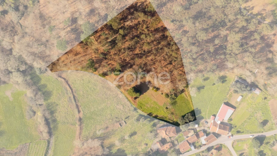 Terreno para Venda em Oliveira
