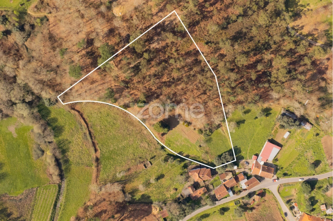 Terreno para Venda em Oliveira Foto 18