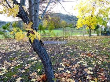 Moradia T9 para Venda em Mirandela