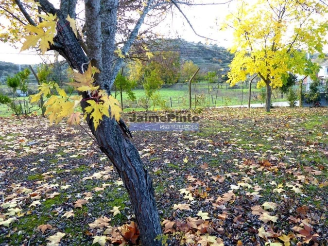 Moradia T9 para Venda em Mirandela Foto 8