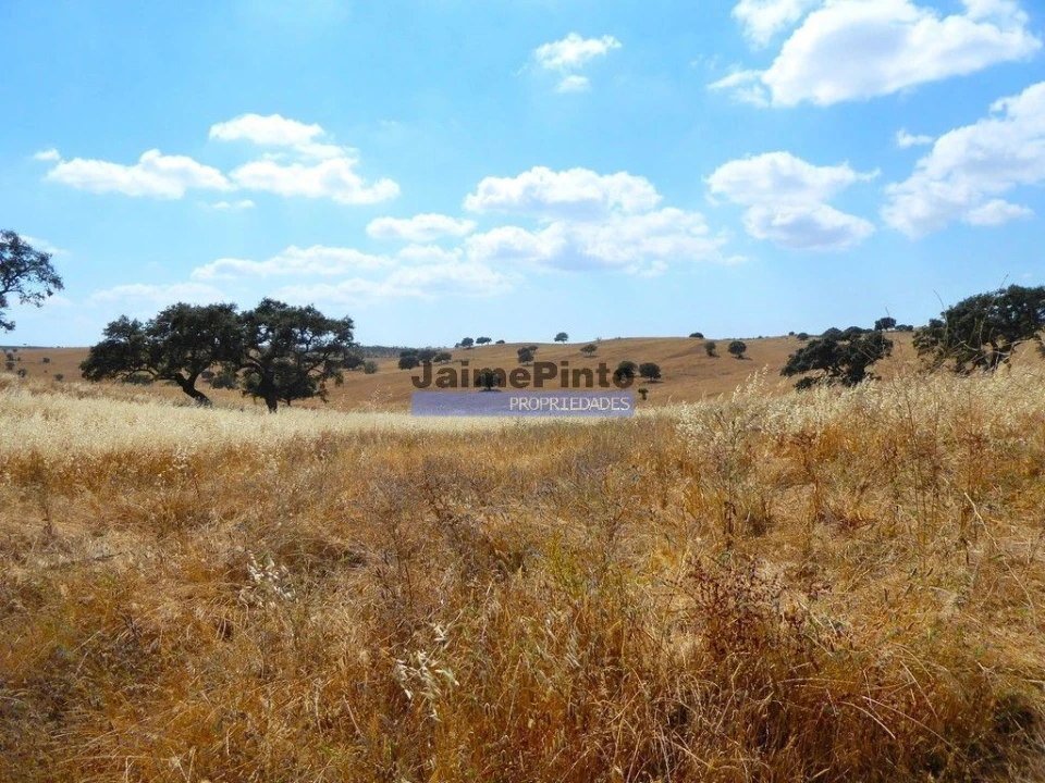 Terreno Agricola ou Rústico para Venda em Aldeia dos Fernandes Foto 2