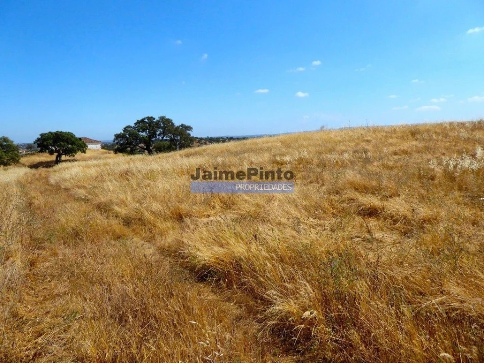 Terreno Agricola ou Rústico para Venda em Aldeia dos Fernandes Foto 7