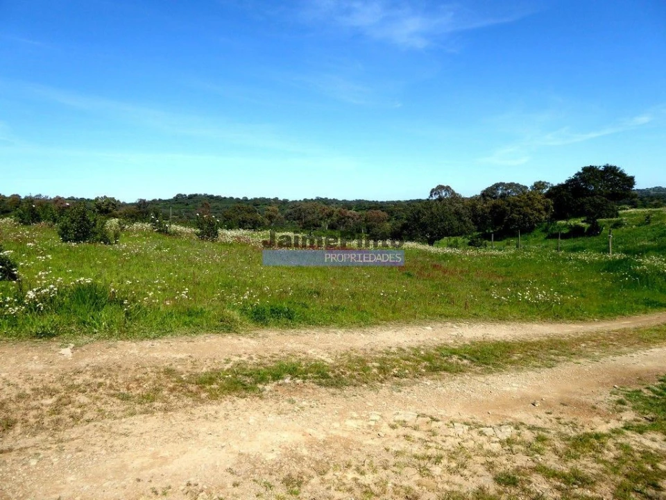 Terreno Agricola ou Rústico para Venda em Aldeia dos Fernandes Foto 8