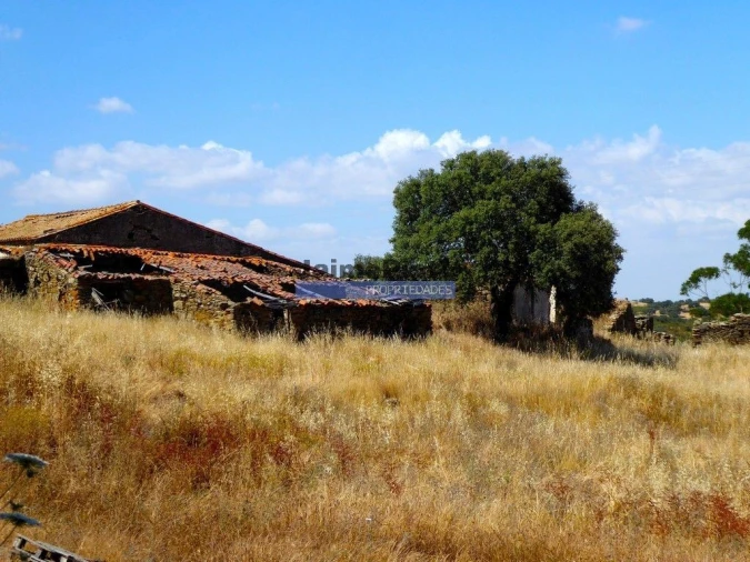 Terreno Agricola ou Rústico para Venda em Aldeia dos Fernandes Foto 3