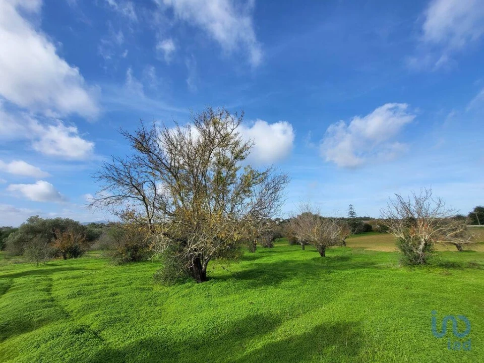 Moradia T3 para Venda em Luz de Tavira e Santo Estêvão Foto 14