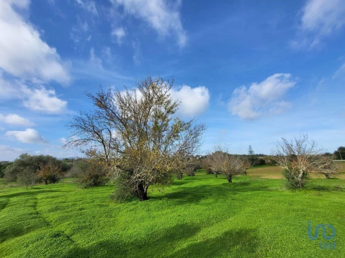 Moradia T3 para Venda em Luz de Tavira e Santo Estêvão Foto 14