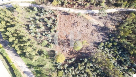 Terreno para Venda em Figueiró dos Vinhos e Bairradas