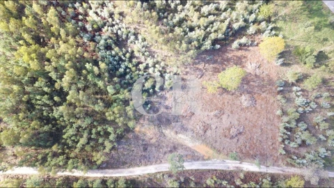 Terreno para Venda em Figueiró dos Vinhos e Bairradas