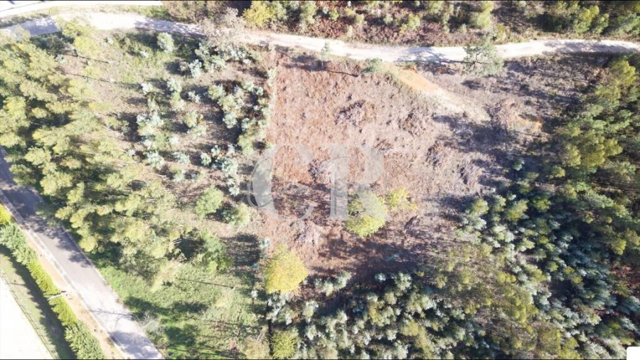 Terreno para Venda em Figueiró dos Vinhos e Bairradas Foto 2