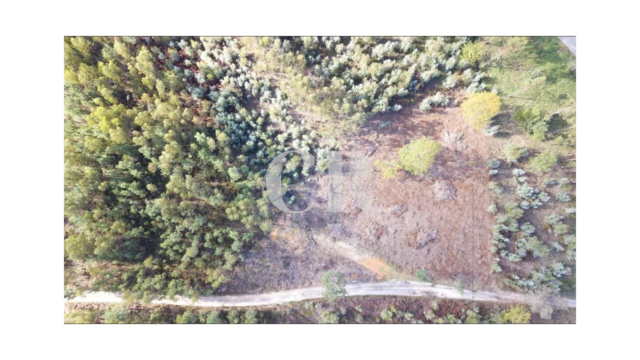 Terreno para Venda em Figueiró dos Vinhos e Bairradas Foto 1