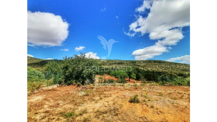 Terreno para Venda em Moncarapacho e Fuseta Foto 6