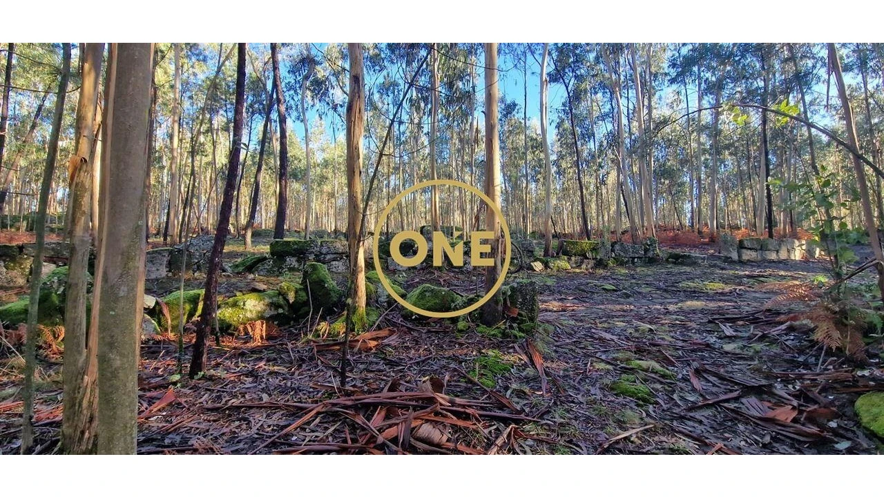 Terreno para Venda em Monte Córdova Foto 2