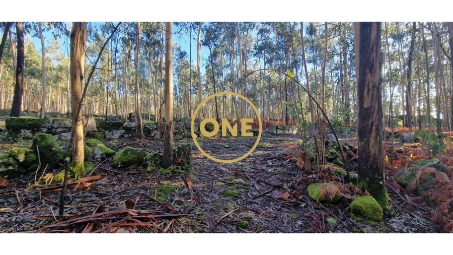 Terreno para Venda em Monte Córdova Foto 1