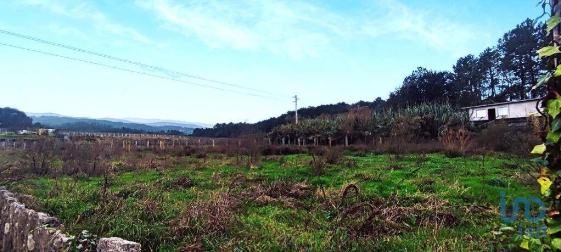 Terreno para Venda em Pinheiros Foto 13