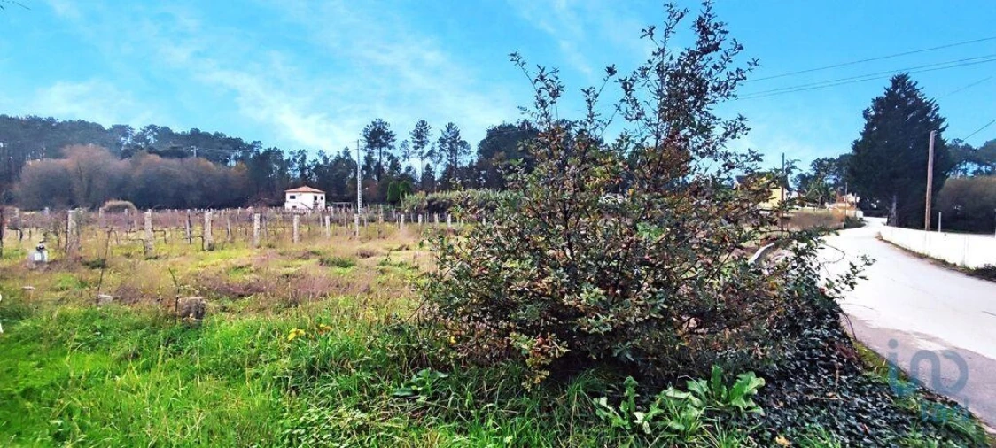 Terreno para Venda em Pinheiros Foto 4