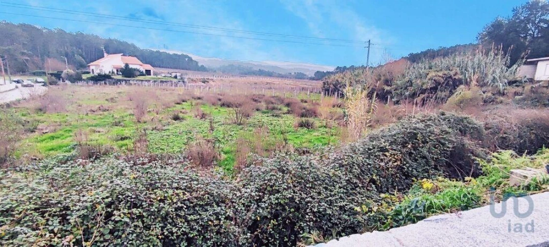 Terreno para Venda em Pinheiros Foto 11