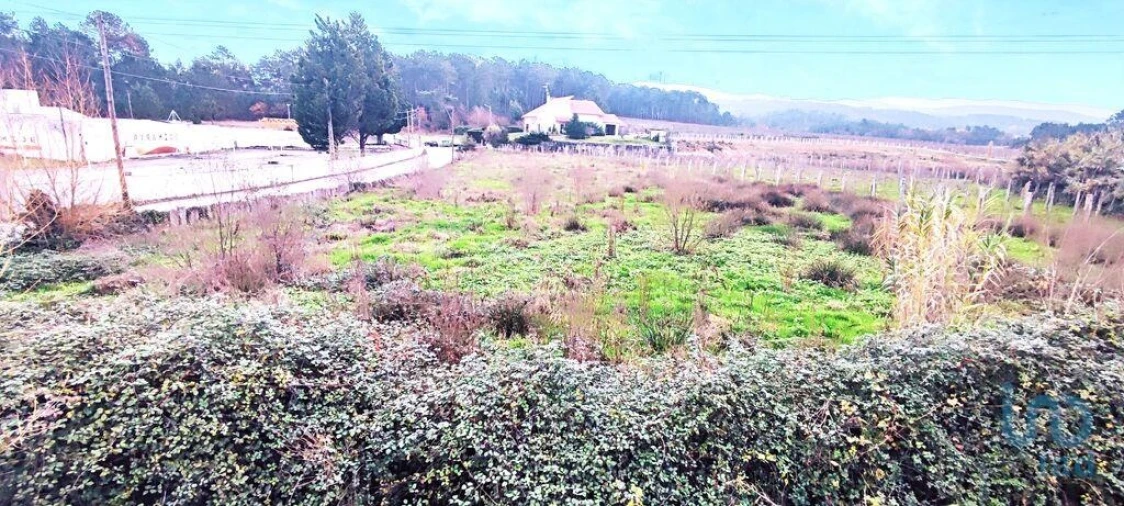 Terreno para Venda em Pinheiros Foto 10