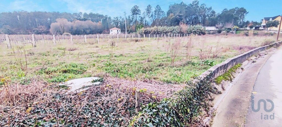 Terreno para Venda em Pinheiros Foto 7