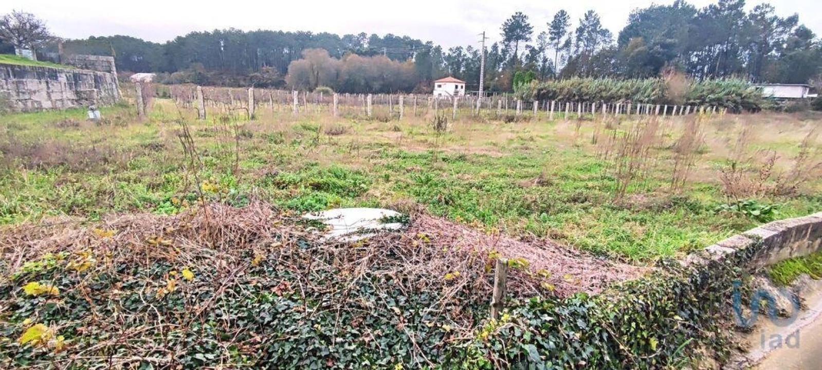 Terreno para Venda em Pinheiros Foto 3