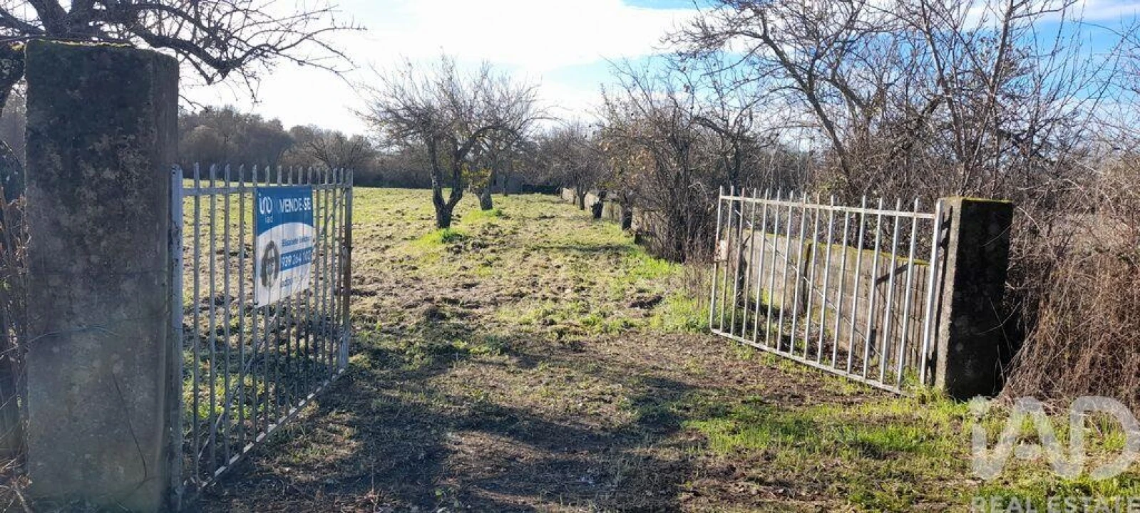 Terreno para Venda em Póvoa de Atalaia e Atalaia do Campo Foto 5