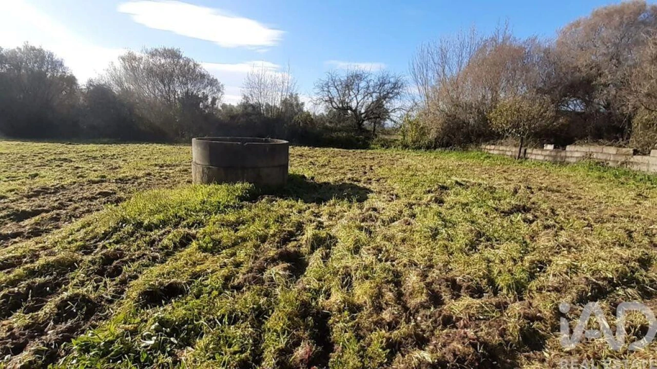 Terreno para Venda em Póvoa de Atalaia e Atalaia do Campo Foto 3