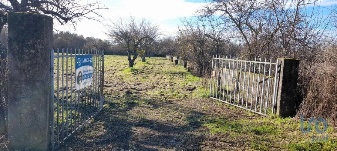 Terreno para Venda em Póvoa de Atalaia e Atalaia do Campo Foto 3