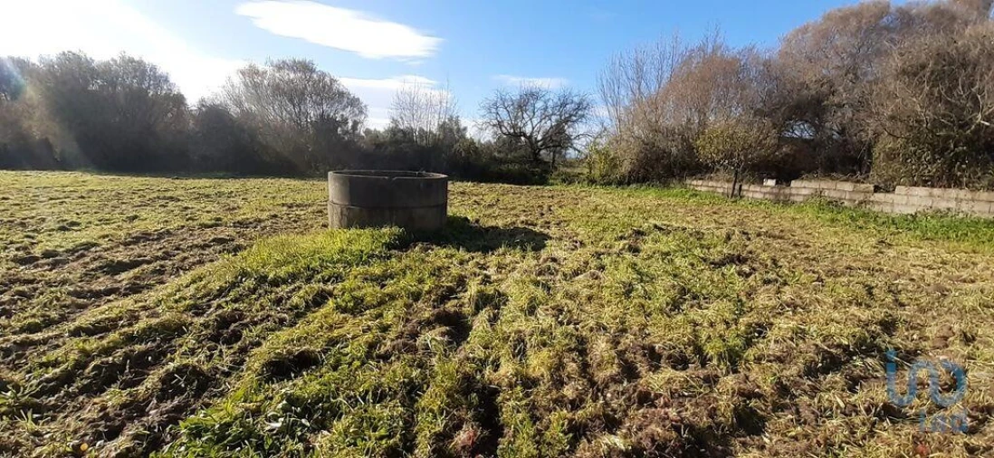 Terreno para Venda em Póvoa de Atalaia e Atalaia do Campo Foto 12