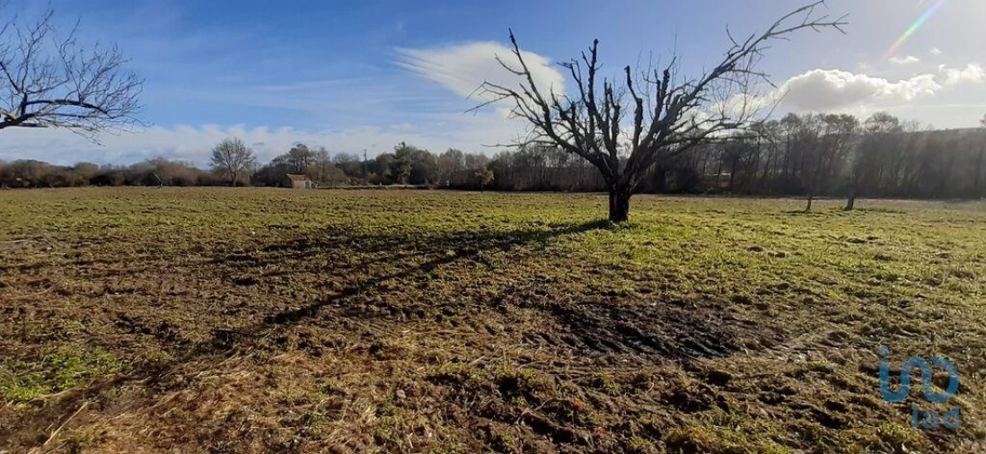 Terreno para Venda em Póvoa de Atalaia e Atalaia do Campo Foto 5