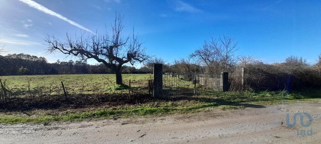 Terreno para Venda em Póvoa de Atalaia e Atalaia do Campo Foto 4