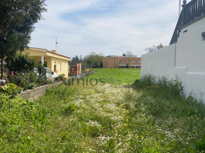 Terreno para Venda em Mindelo Foto 5