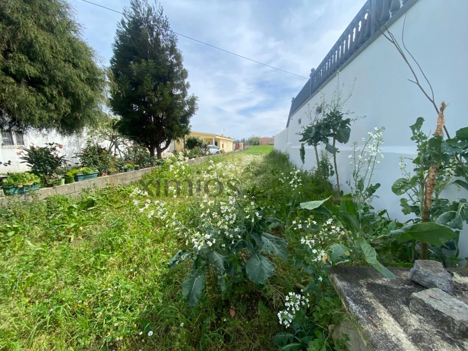 Terreno para Venda em Mindelo Foto 2