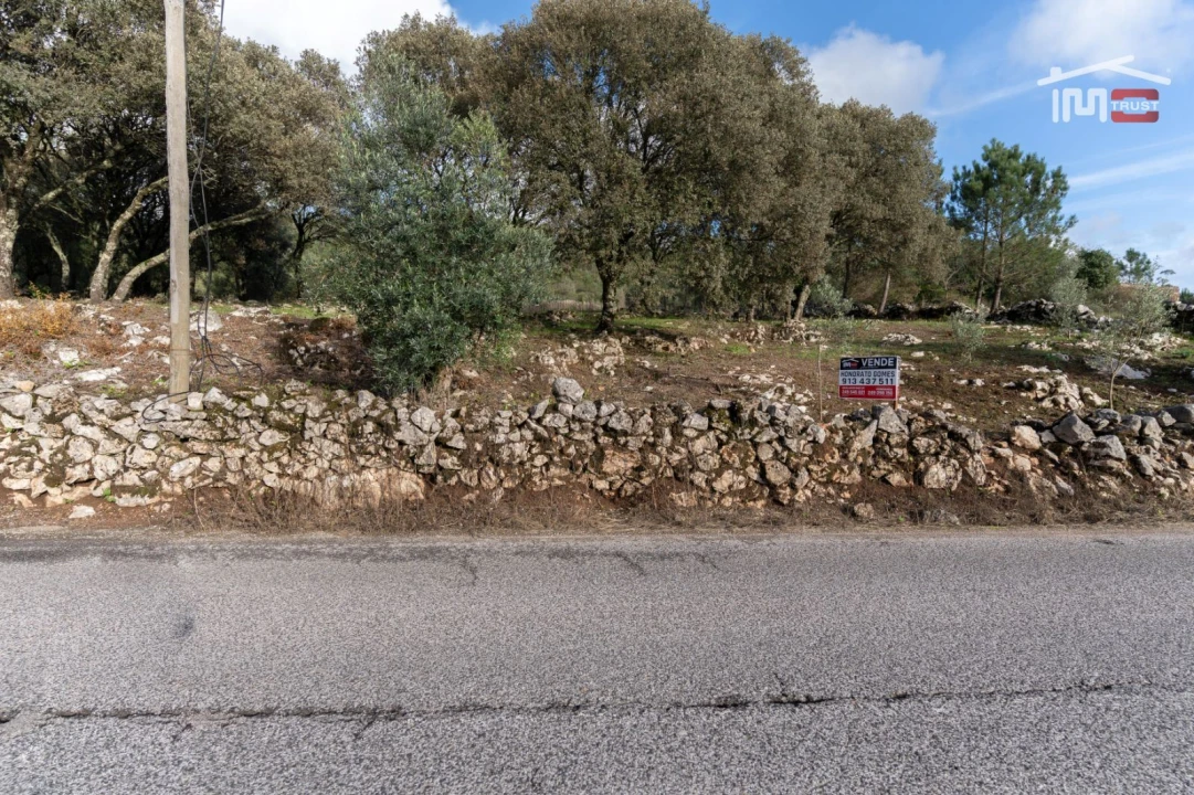 Terreno para Venda em São Mamede Foto 3