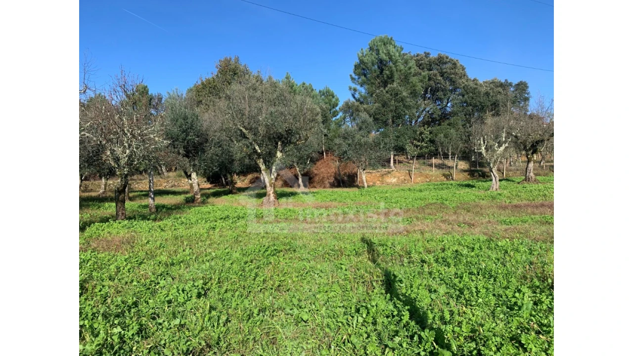 Moradia T4 para Venda em Pedrogão Grande Foto 27