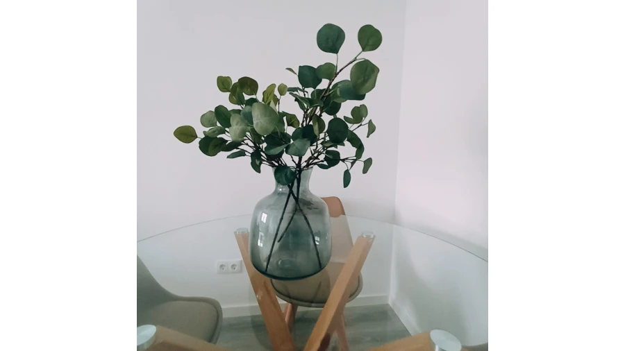 Apartamento T2 para Venda em São Domingos de Benfica Foto 3