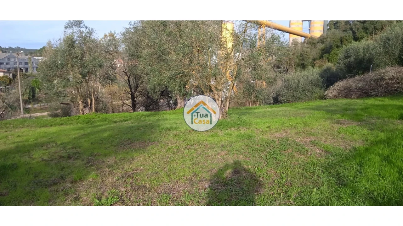 Terreno para Venda em Souselas e Botão Foto 5