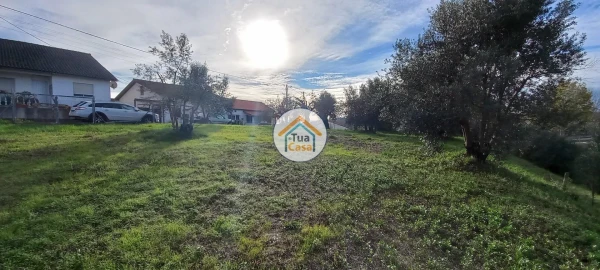 Terreno para Venda em Souselas e Botão