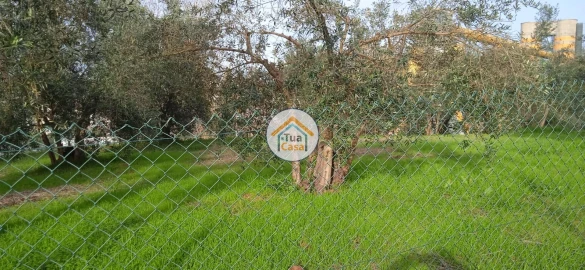 Terreno para Venda em Souselas e Botão