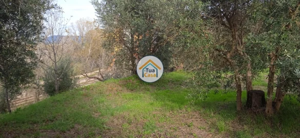 Terreno para Venda em Souselas e Botão