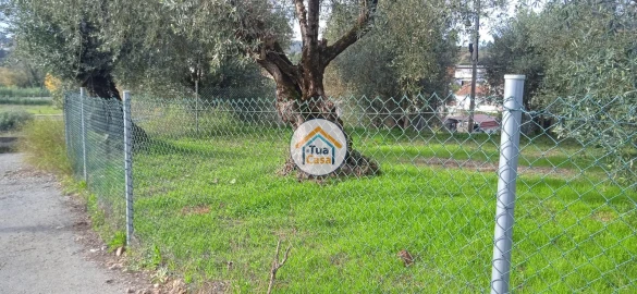 Terreno para Venda em Souselas e Botão