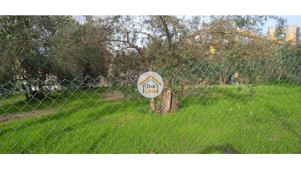 Terreno para Venda em Souselas e Botão Foto 4