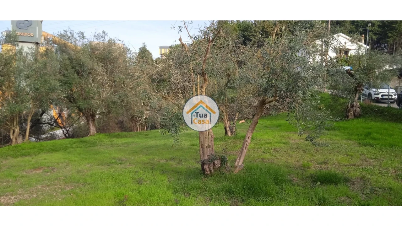 Terreno para Venda em Souselas e Botão Foto 12