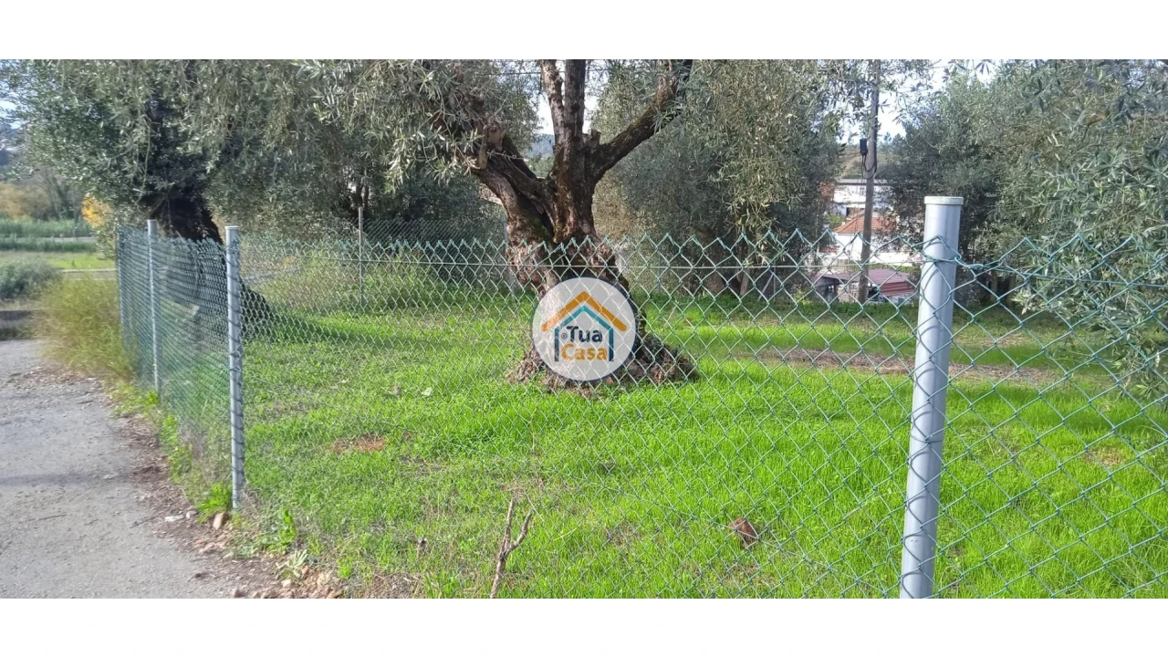 Terreno para Venda em Souselas e Botão Foto 3