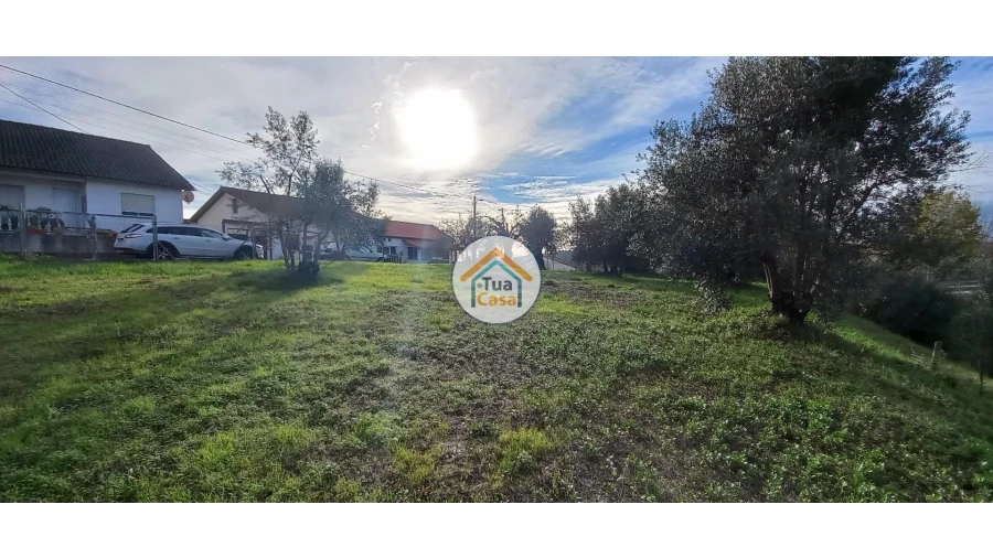 Terreno para Venda em Souselas e Botão Foto 7