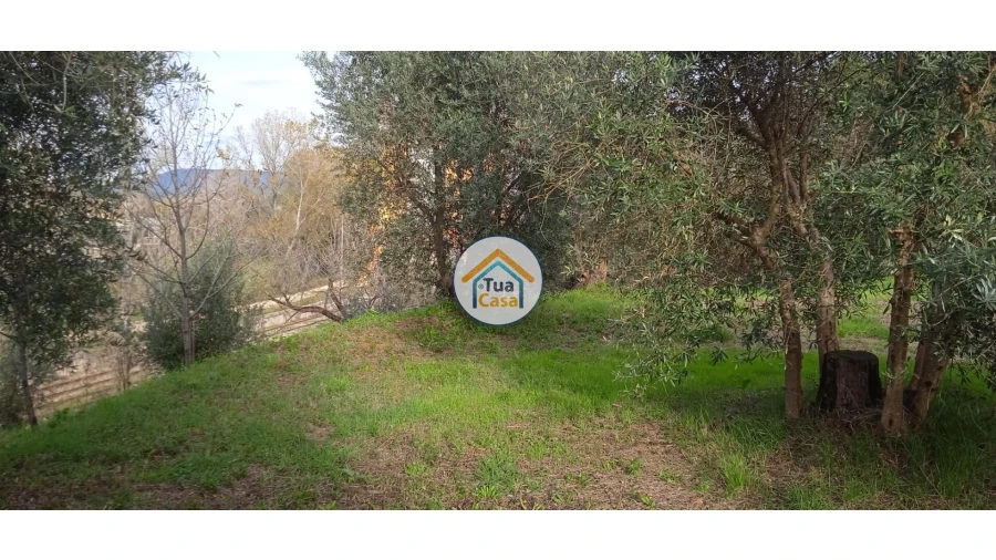 Terreno para Venda em Souselas e Botão Foto 13