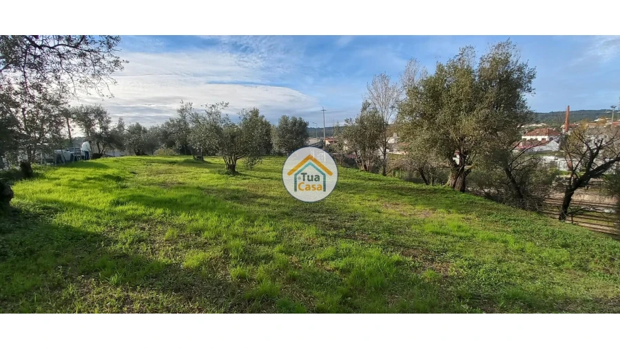 Terreno para Venda em Souselas e Botão Foto 10